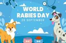Hewan yang Perlu Diwaspadai dalam Penyebaran Rabies